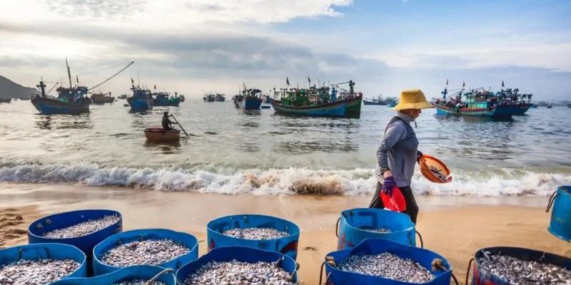 Hải sản tại bãi Đông tươi ngon với mức giá phải chăng