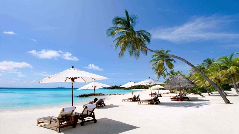 Bãi biển đẹp thơ mộng với làn nước trong xanh