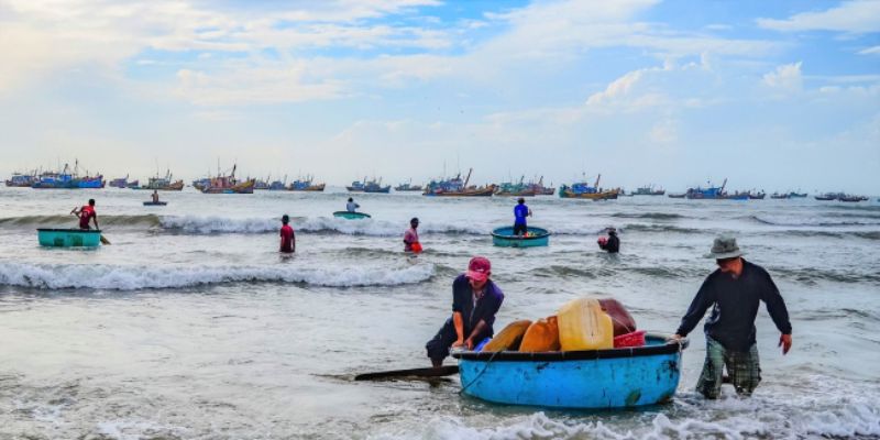 Quan sát và tham gia vào các hoạt động của ngư dân cảng cá