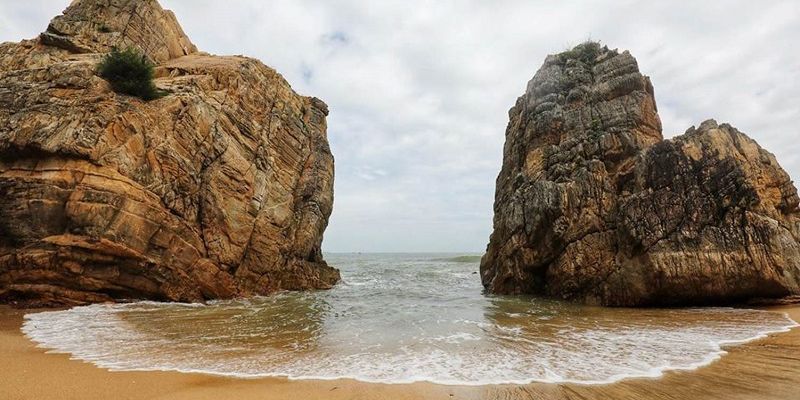 Khám phá các loại sinh vật ở xung quanh bãi