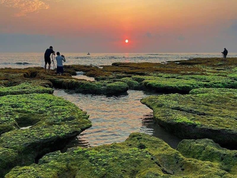 Bãi đá rêu xanh được thiên nhiên ban tặng