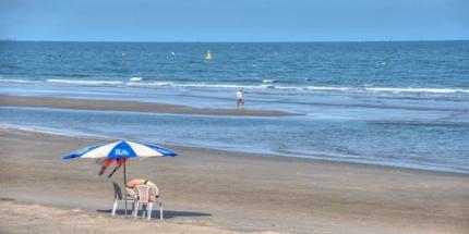 Bãi Tắm Chí Linh Chiêm Ngưỡng Vẻ Đẹp Thiên Nhiên Giữa Thành Phố