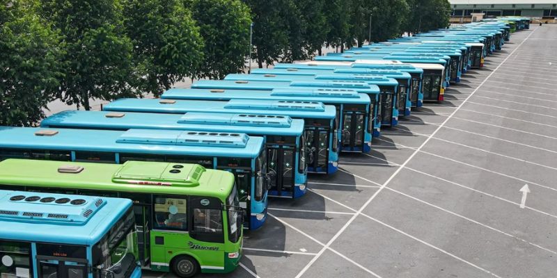 Bạn có thể đi xe buýt hoặc tự di chuyển đến Đông Hồ