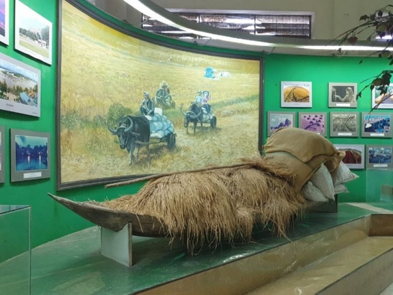 Khám phá khu trưng bày về thời tiết và con người Cần Thơ