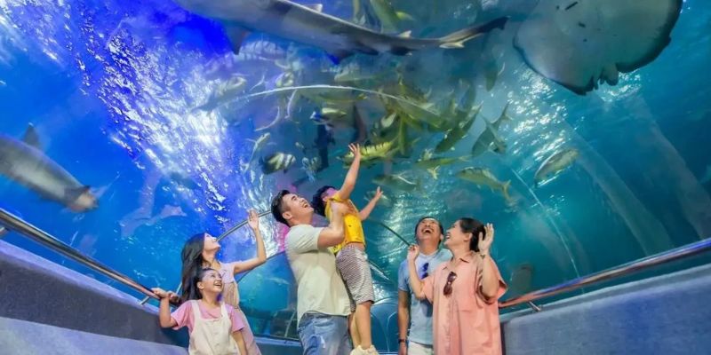 Du khách ngắm nhìn bể cá lớn tái hiện môi trường sống dưới biển sâu