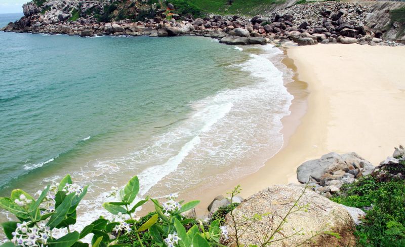 Vì sao biển Phú Yên ngày càng được yêu thích?