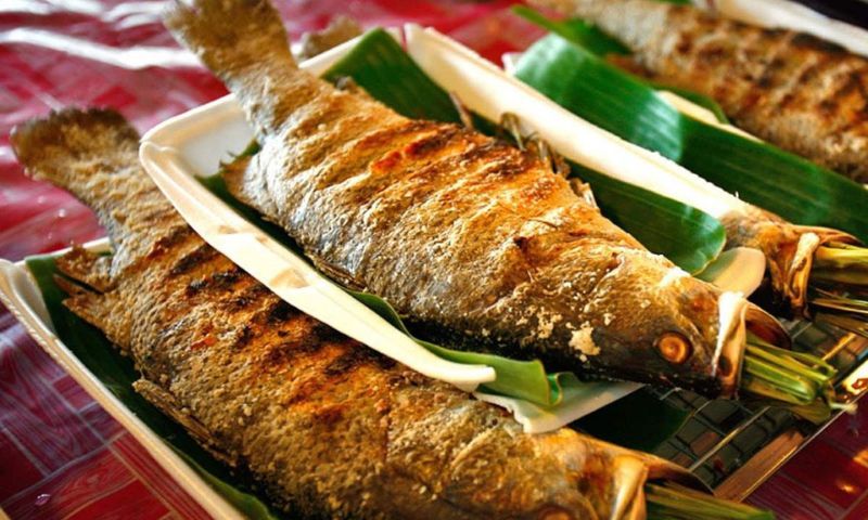 Cá suối nướng món ăn mang hương vị thơm ngon