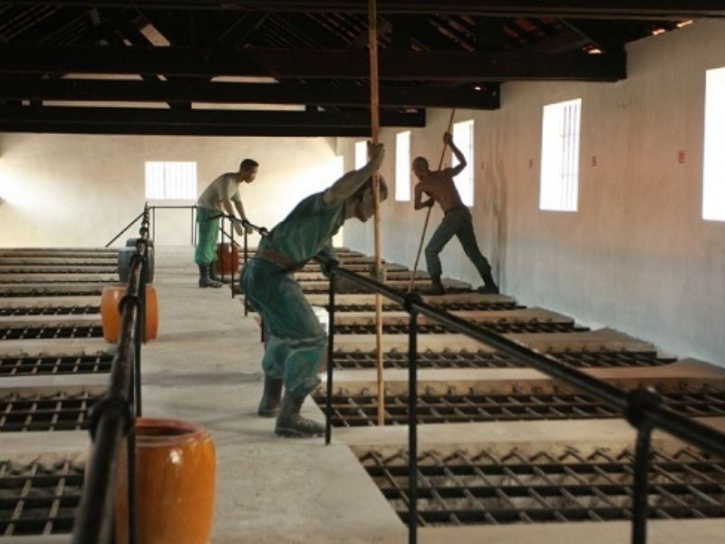 Cách thức tra tấn dã man tại trại Phú Cường