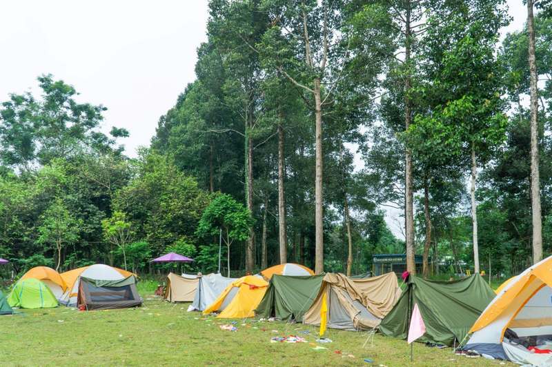 9. Vườn quốc gia Cát Tiên - Cắm trại hoang dã (~150km)