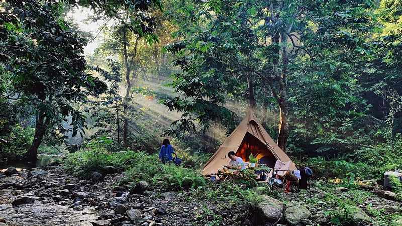 Cắm trại ở bãi đất trống ven rừng