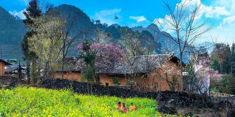 Tới Đồng Văn vào mùa xuân để thưởng thức cảnh đẹp