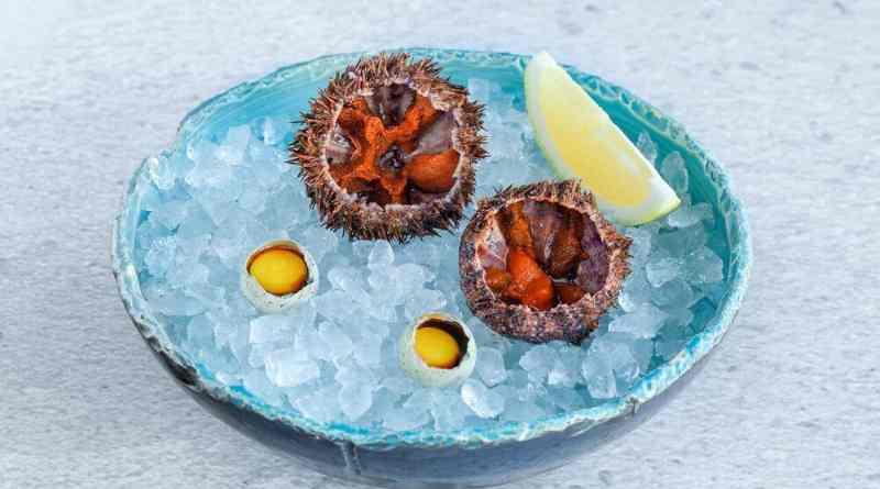 Cầu gai là món đặc trưng thu hút khách tại vùng biển Nhơn Hải