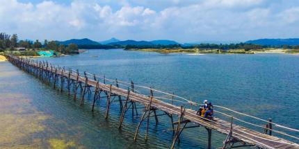 Cầu Ông Cọp - Biểu Tượng Mộc Mạc Của Người Dân Xứ Nẫu