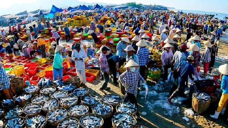 Chợ cá sớm Hạ Long - Địa chỉ mua hải sản tươi sống