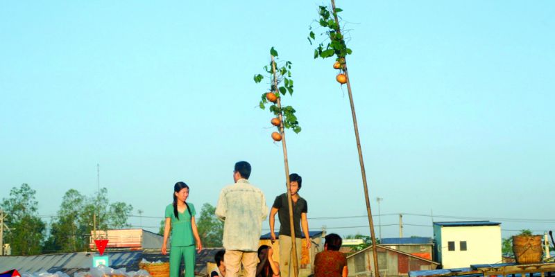 Cây bẹo chính là cách đơn giản nhất để bán hàng