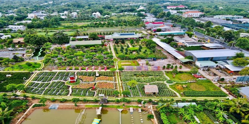 Nguồn cung hoa cho chợ với hàng ngàn loại bông khác nhau