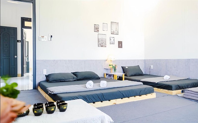 Chọn La Jonquille Homestay nếu muốn không gian gần gũi thiên nhiên.