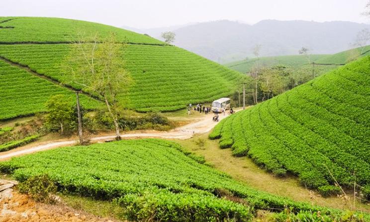 Chọn loại hình di chuyển tới ốc đảo chè thích hợp