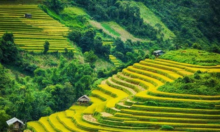 Chọn thời gian thích hợp để tới Mường Hoa