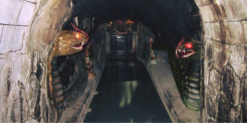 Đôi rắn trở thành biểu tượng của chùa Hang