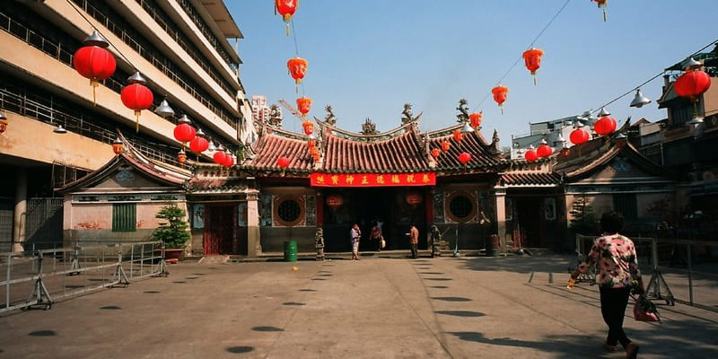 Cây cổ thụ và sân chùa tạo nên khung cảnh thanh tịnh, tĩnh lặng