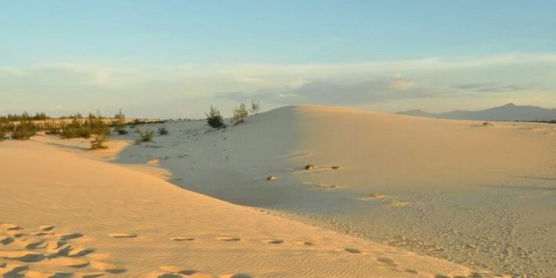 Toàn cảnh cồn cát Quang Phú tại Quảng Bình