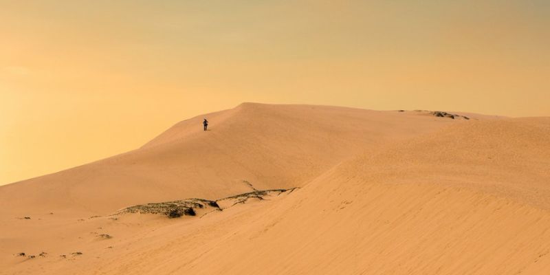 Cồn cát trải dài giống như một sa mạc thu nhỏ