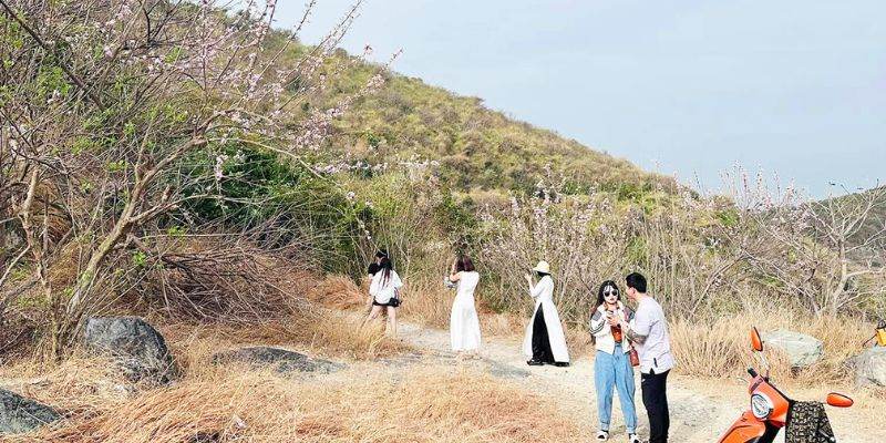 Con đường mòn dẫn lên Đồi Con Heo giữa nắng vàng rực rỡ