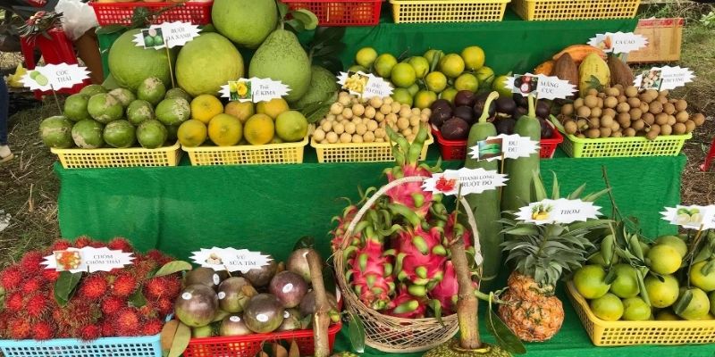 Thưởng thức ẩm thực dân dã miền Tây