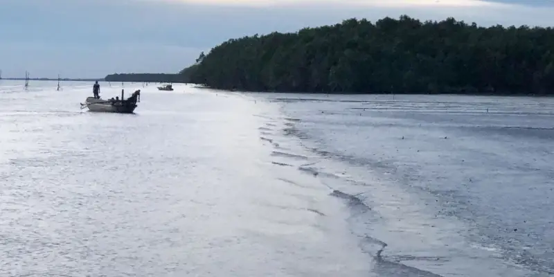 Phong cảnh xanh mát của Cù Lao Dung với sông nước yên bình