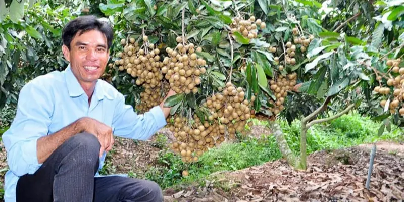 Chèo thuyền khám phá rừng bần ngập mặn rộng lớn