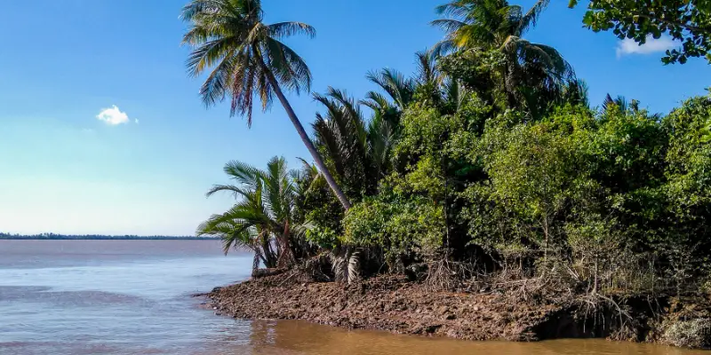 Cù Lao Dung nằm cuối dòng sông Hậu với sông rạch đan xen 