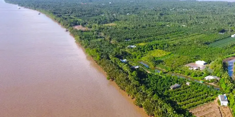 Chèo thuyền khám phá rừng bần ngập mặn rộng lớn