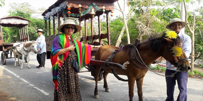 Thuê xe ngựa đẻ thăm quan xung quanh cù lao