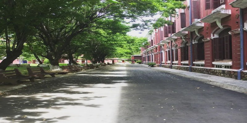 Cung đường dọc sân trường mùa lá rụng