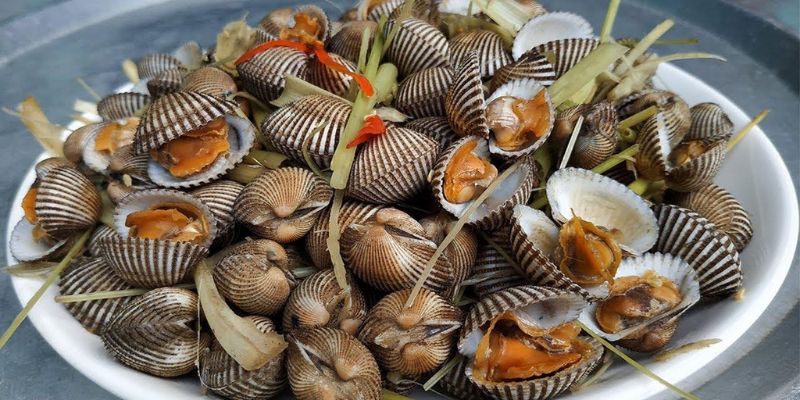 Món sò huyết Ô Loan nổi tiếng, đặc sản nhất định phải thử khi đến Phú Yên