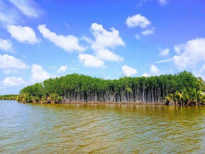 Khung cảnh hai bên bờ sông hoang sơ với rừng cây xanh rậm rạp