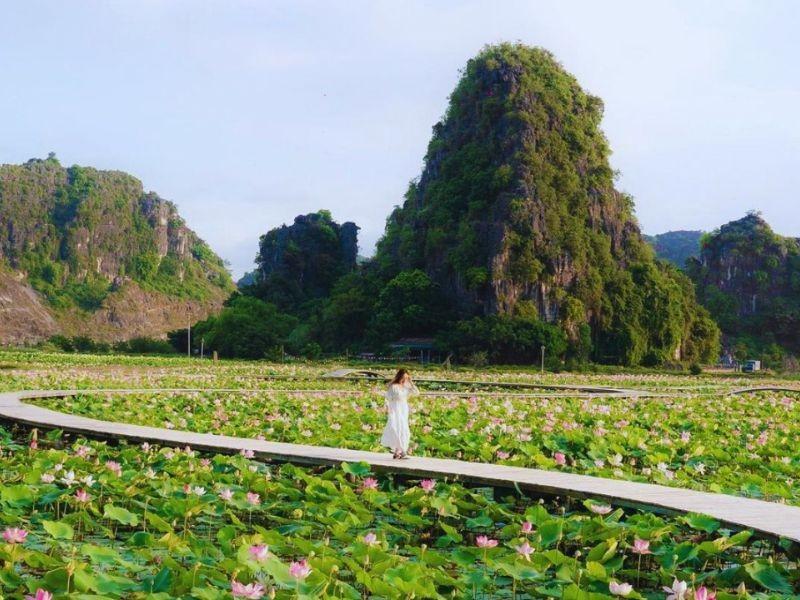 Đi Đầm Vân Long đẹp nhất là mùa hè tháng 5-6