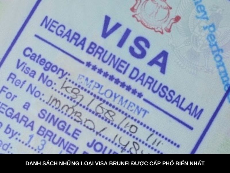 Có nhiều loại visa Brunei được cấp phổ biến hiện nay