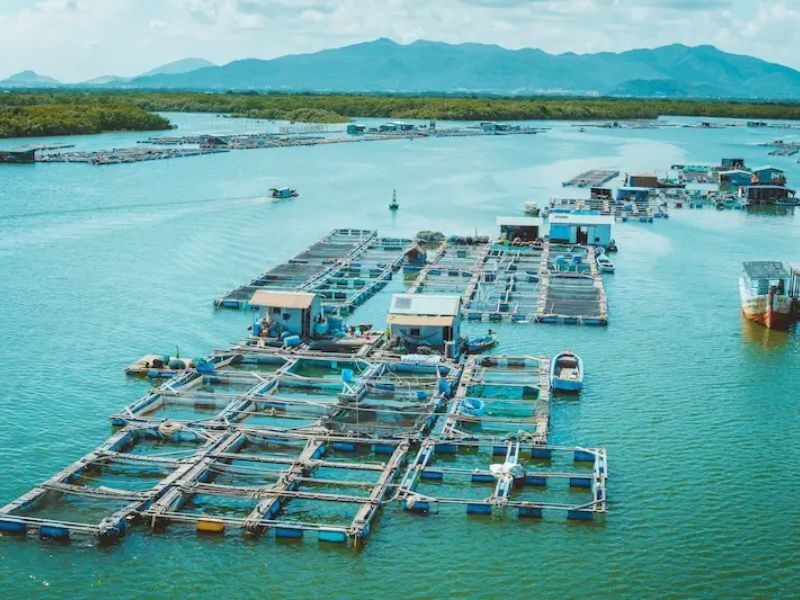 Đảo Long Sơn mang một vẻ đẹp thiên nhiên yên bình