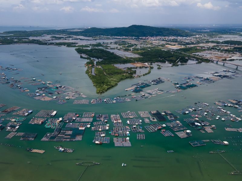 Khoảng thời gian lý tưởng để đến đảo là từ tháng 11 đến tháng 4