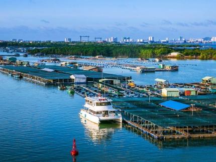 Chinh Phục Đảo Long Sơn, Viên Ngọc Xanh Vạn Người Mê