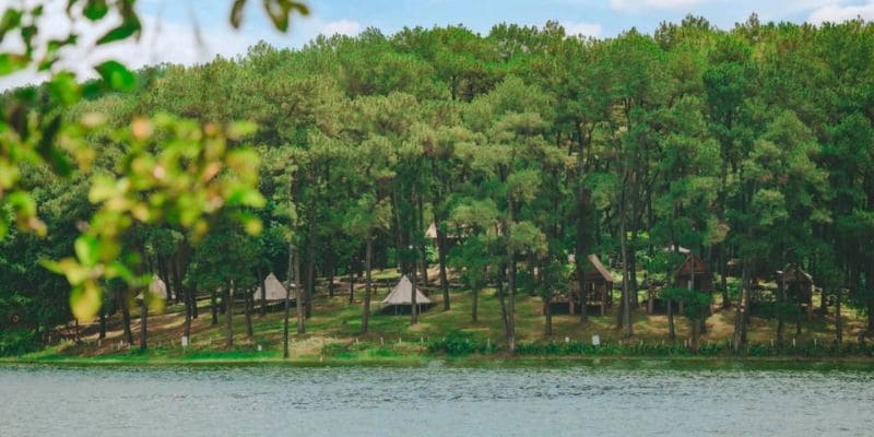 Dạo quanh đồi thông để tận hưởng bầu không khí trong lành