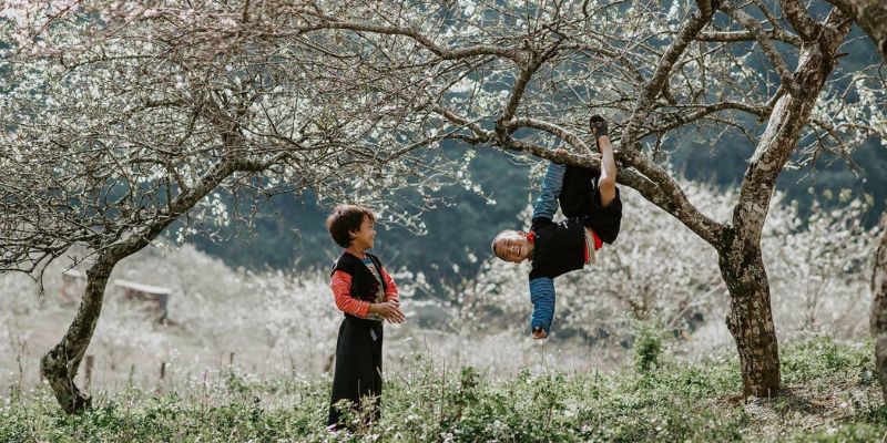 Chia sẻ các nội dung tóm tắt về đèo Mã Pì Lèng