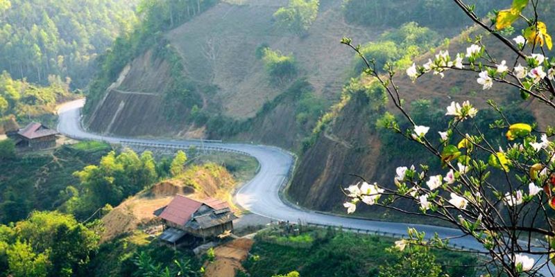 Hòa vào cảnh sắc thiên nhiên trên đường chinh phục đèo 