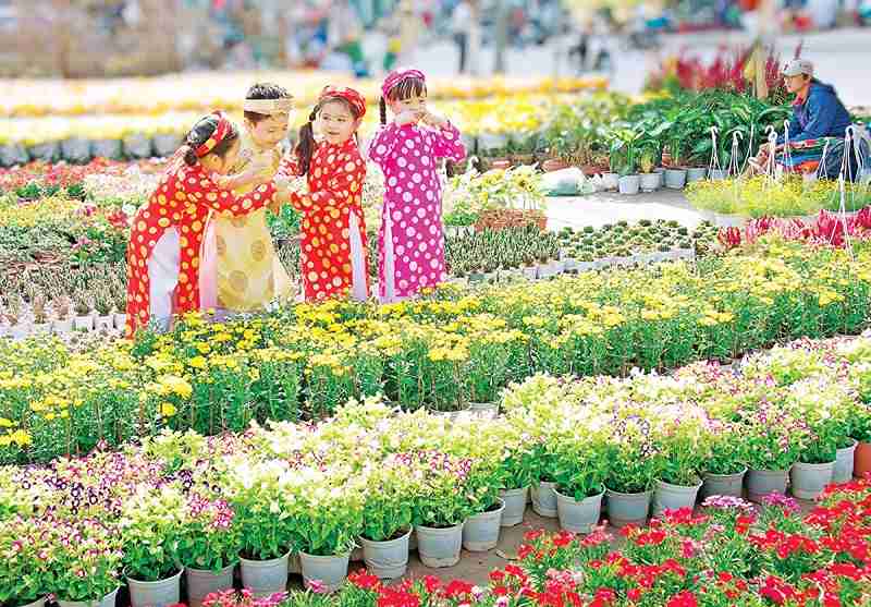 Chợ hoa Tết rực rỡ tại miền Tây