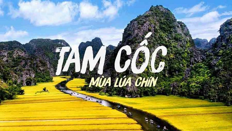 Đi thuyền ngắm cảnh đẹp của Tam Cốc - Bích Động