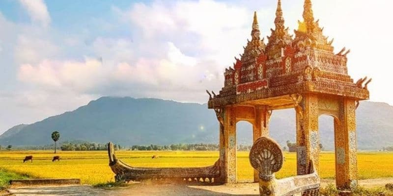 Cảnh đẹp nên thơ giữa cánh đồng