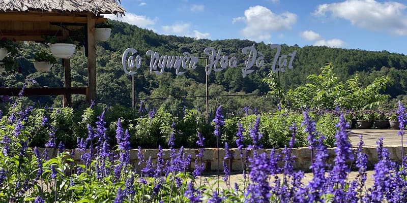 Địa điểm du lịch Đà Lạt cao nguyên hoa mở ra cảnh sắc tuyệt mỹ