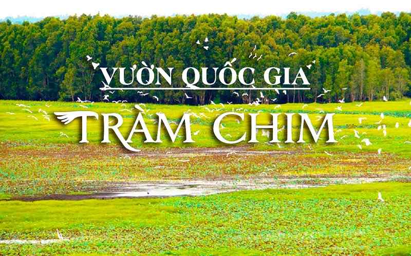 Vườn quốc gia Tràm Chim là “lá phổi xanh” Đồng Tháp